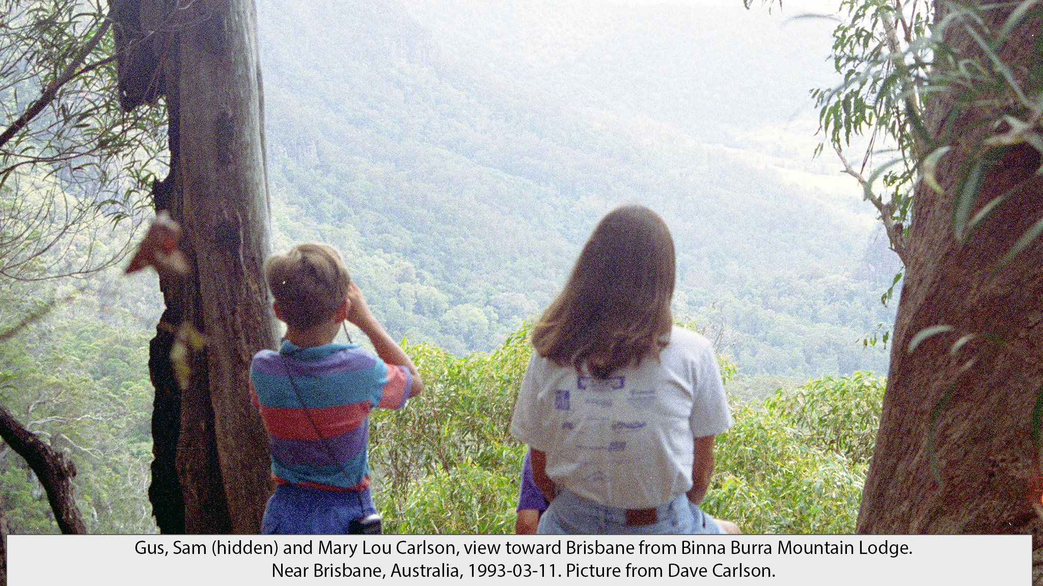 view from Binna Burra