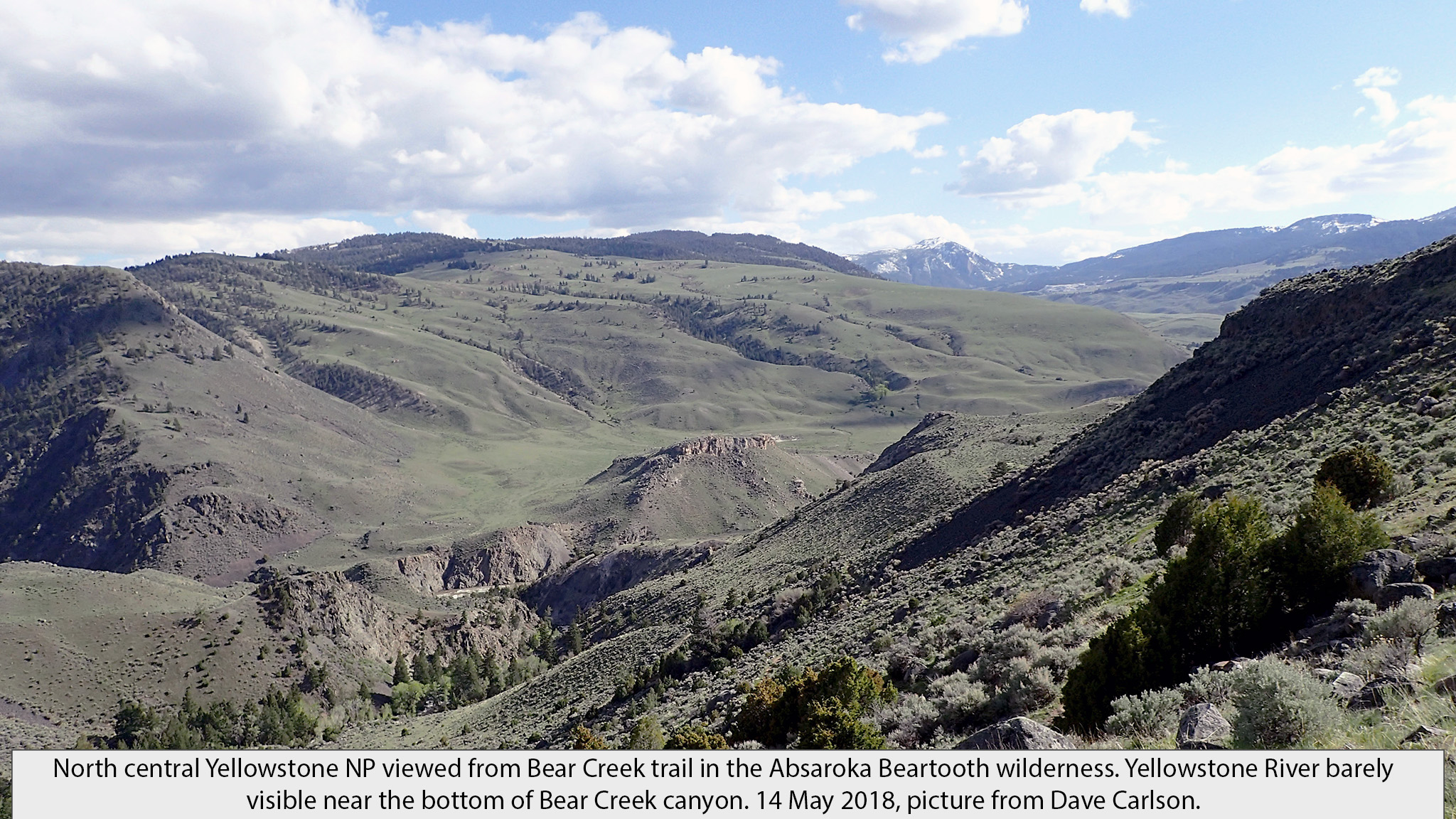 nrothern Yellowstone