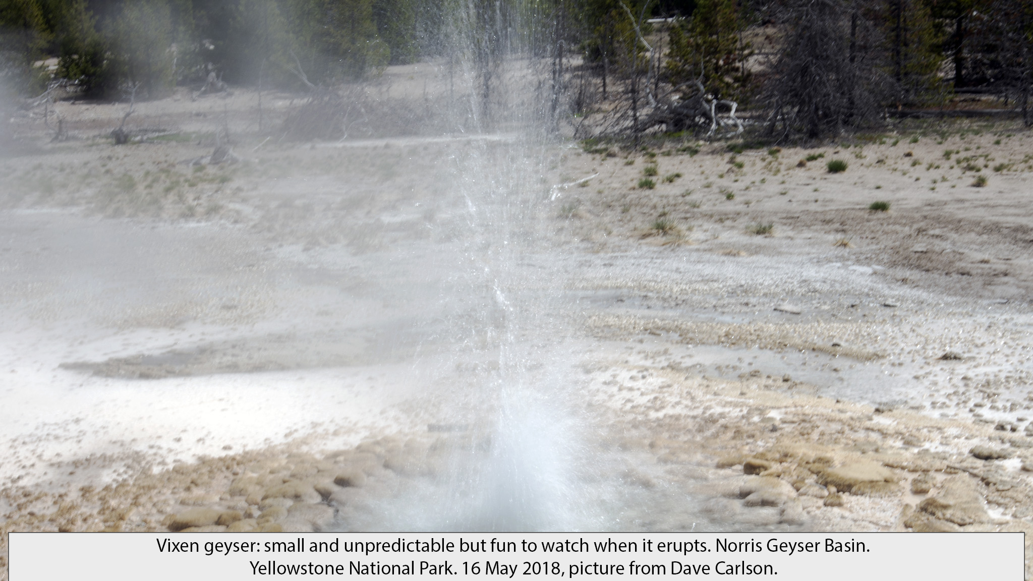 small geyser